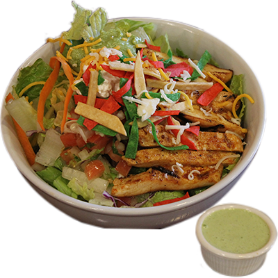 Fajita Bowl